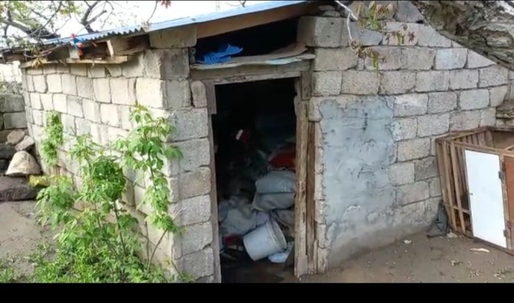 Van merkezli 2 ilde uyuşturucu operasyonu: 10 tutuklama