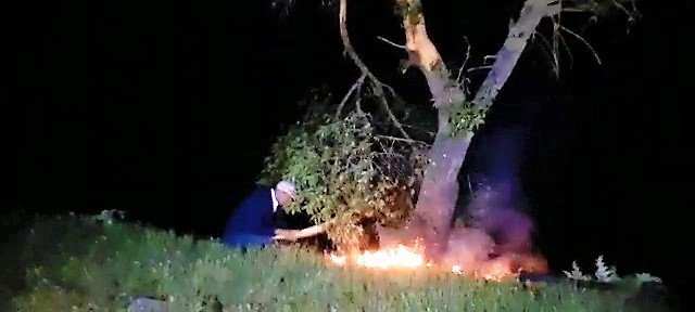 Yıldırım isabet eden ağaç alev aldı