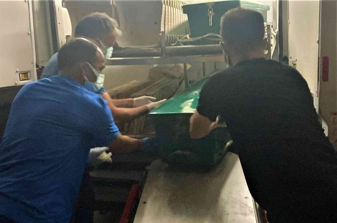 Bayramda kayıp olmuştu, 12 gün sonra çoban cansız bedenini buldu