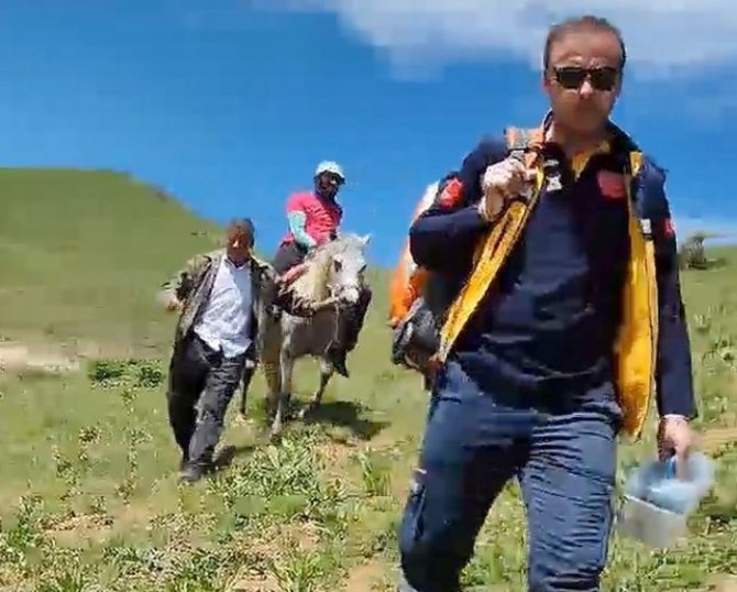 Doğa gezisine çıkan şahsı engerek yılanı ısırdı