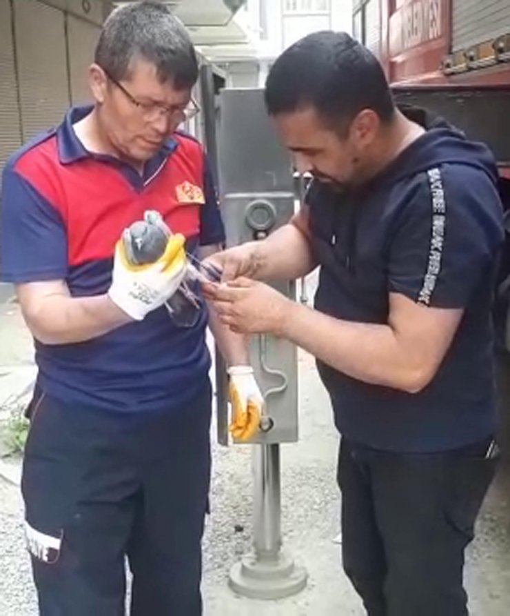 Iğdır'da ayağına ip dolanan güvercin kurtarıldı
