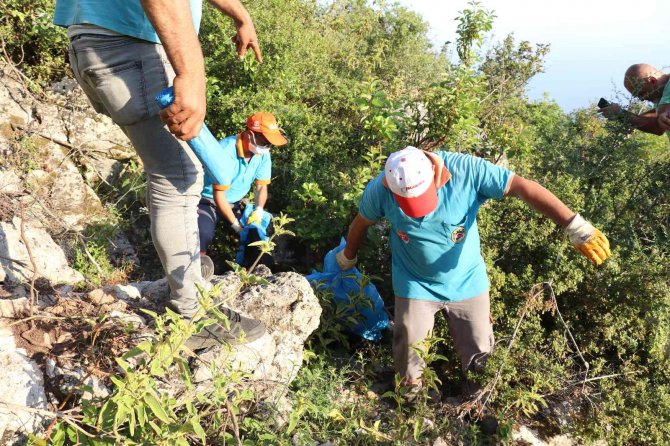 İki sokak köpeği ölü bulundu