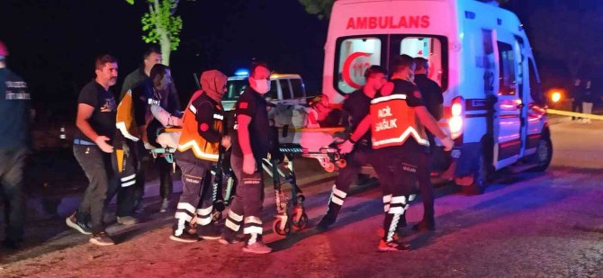 Kontrolden çıkan otomobil ağaç ve direği devirerek durabildi