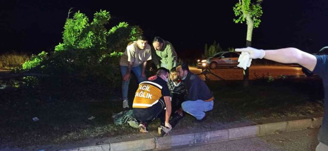 Kontrolden çıkan otomobil ağaç ve direği devirerek durabildi