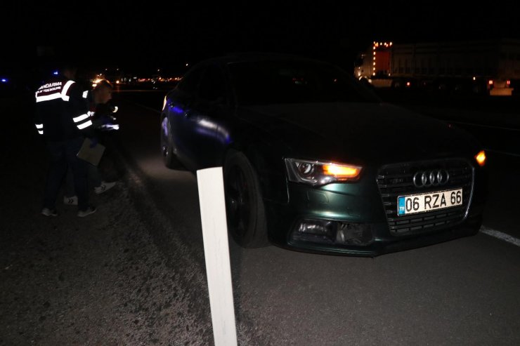 Milli güreşçi Rıza Kayaalp kazaya karıştı: 1 ölü