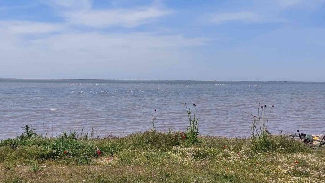 Türkiye’nin çeltik ambarında ekim zamanı