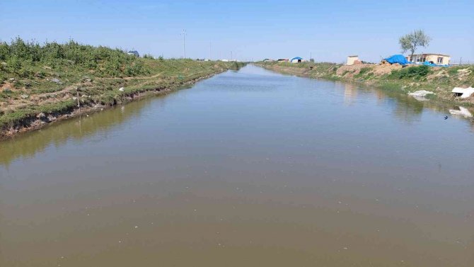 Türkiye’nin çeltik ambarında ekim zamanı