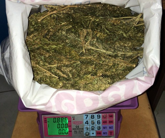 Uyuşturucu satıcısı tutuklandı