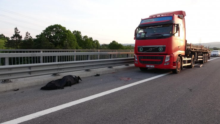 Arızalanan aracına bakan sürücüye TIR çarptı: 1 ölü