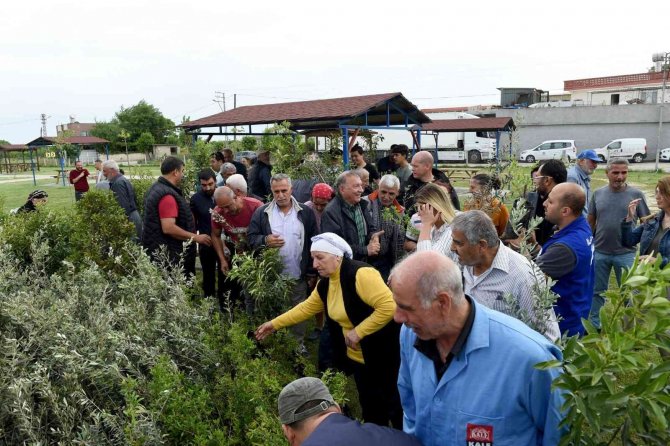 Çiftçilere 10 bin fide ve fidan dağıtıldı