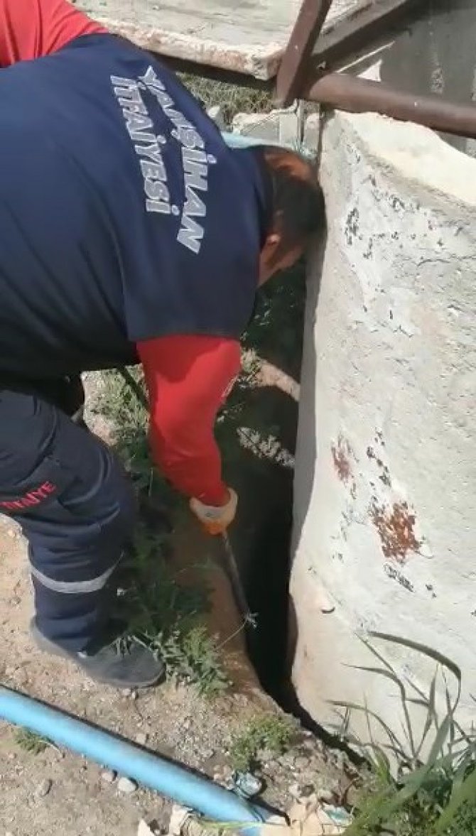 Düştüğü çukurda sıkışan yavru köpeği itfaiye ekipleri kurtardı