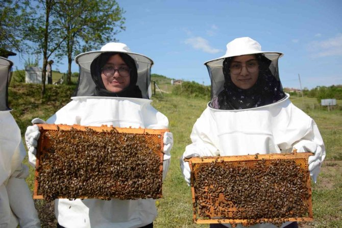 Ekosistemin geleceği arıların kanatlarında