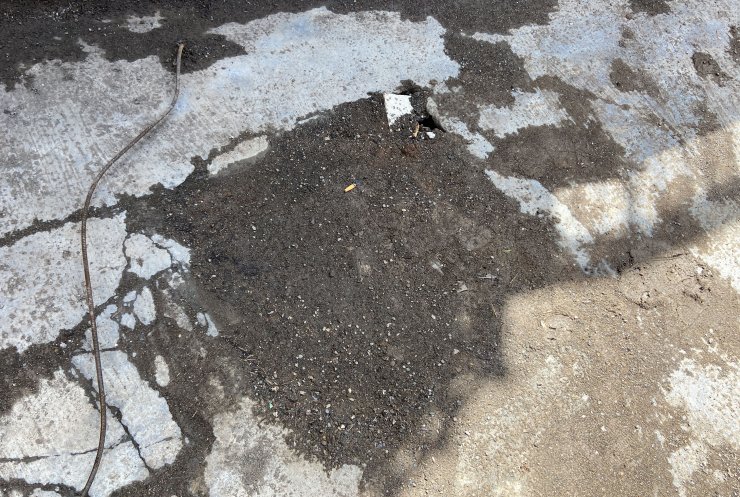 İş hanı, esnafı tedirgin eden farelerden temizlendi