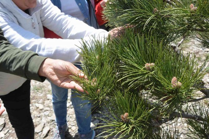 Nitelikli ve kaliteli teknikerler olmak için dağlarda eğitim görüyorlar