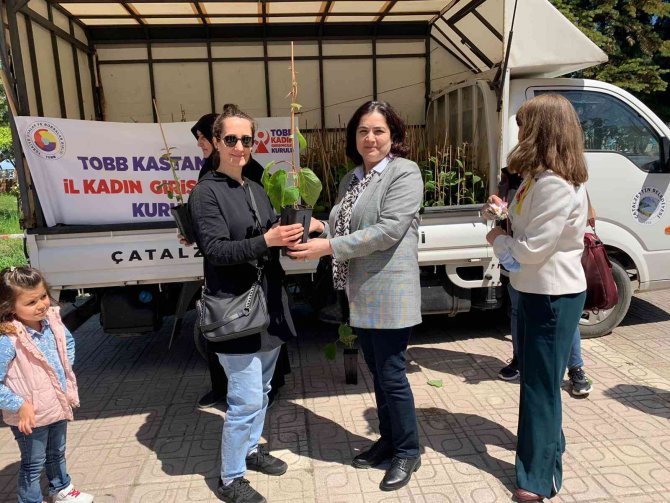 Sel bölgesindeki çiftçilere fidan ve ata tohumu dağıtıldı