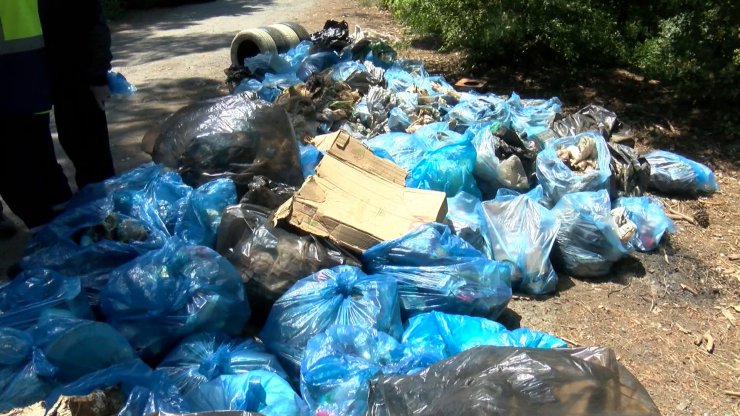 Toplanan atıklar fidana dönüşecek