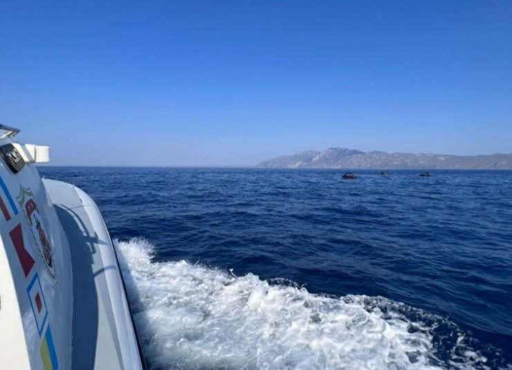 65 kaçak göçmen kurtarıldı