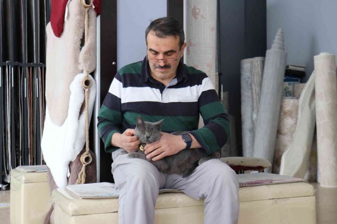 Beslemek için aldığı kedi can dostu oldu