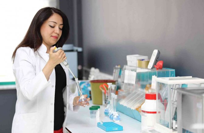 Önce Japonlar sonra da Türk bilim adamları araştırdı