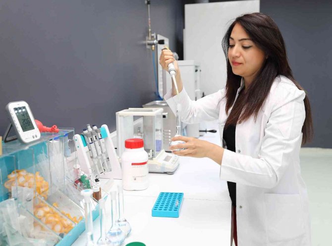 Önce Japonlar sonra da Türk bilim adamları araştırdı