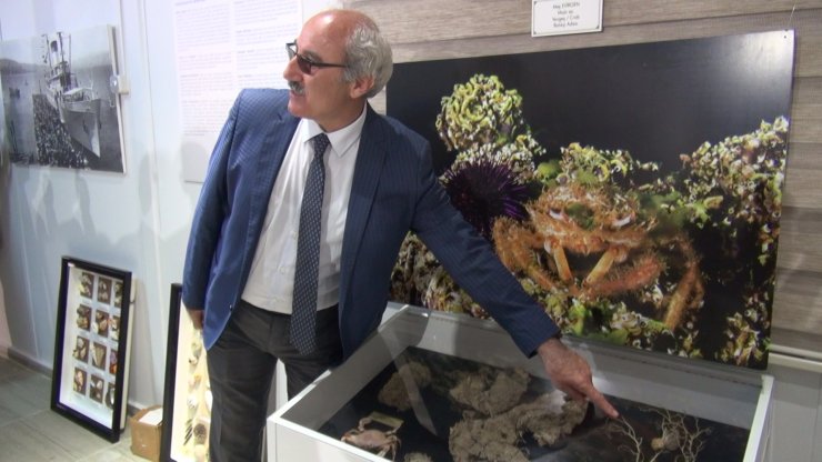 Prof. Dr. Mustafa Sarı: Kesin olarak müsilajla karşılaşacağız ama zamanını bilmiyoruz