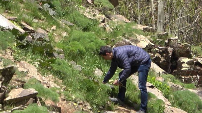 Sarp dağların ardında zorlu ekmek mücadelesi