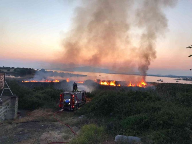 Sazlık alanda yangın