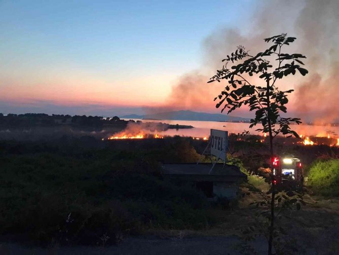 Sazlık alanda yangın