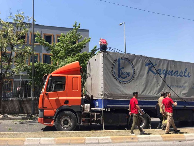 Tır, elektrik direklerini ve bir ağacı devirdi