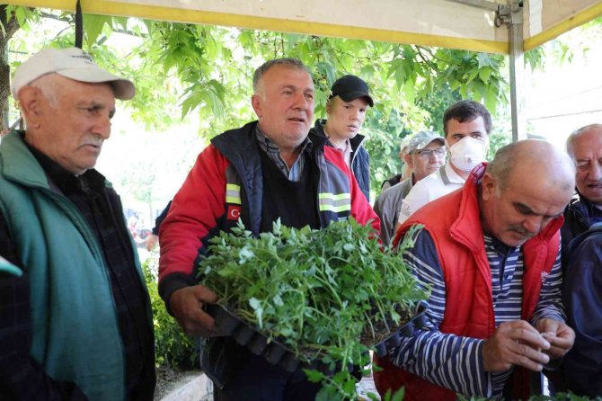 Ücretsiz fide dağıtımı başladı