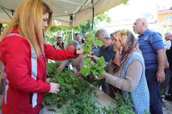 Ücretsiz fide dağıtımı başladı
