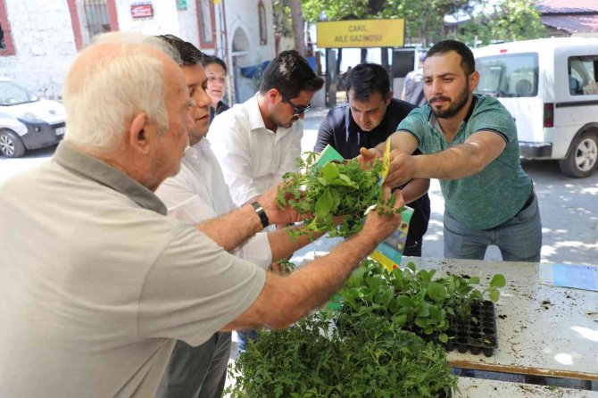 Ücretsiz fide dağıtımı başladı