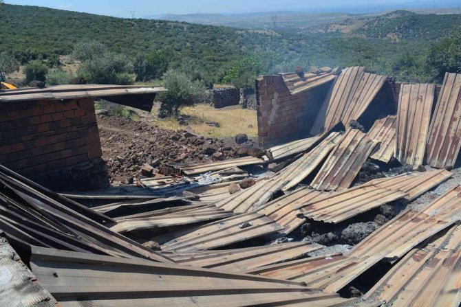 Yangında 78 küçükbaş hayvan telef oldu