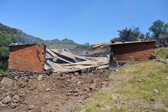 Yangında 78 küçükbaş hayvan telef oldu