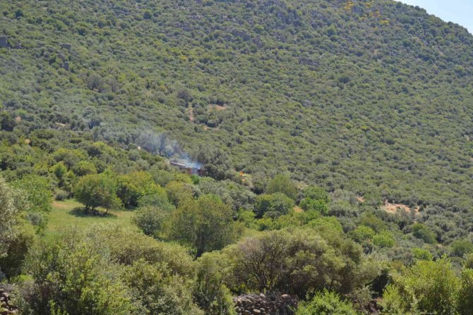 Yangında 78 küçükbaş hayvan telef oldu