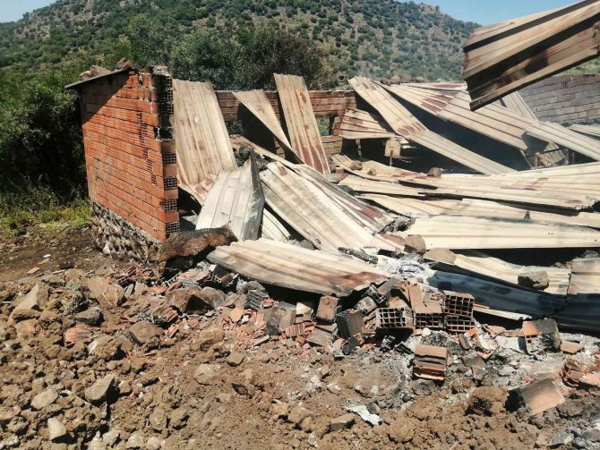 Yangında 78 küçükbaş hayvan telef oldu