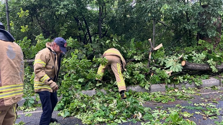 Ağaç seyir halindeki araçların üzerine devrildi