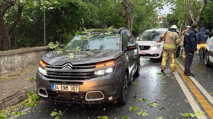Ağaç seyir halindeki araçların üzerine devrildi
