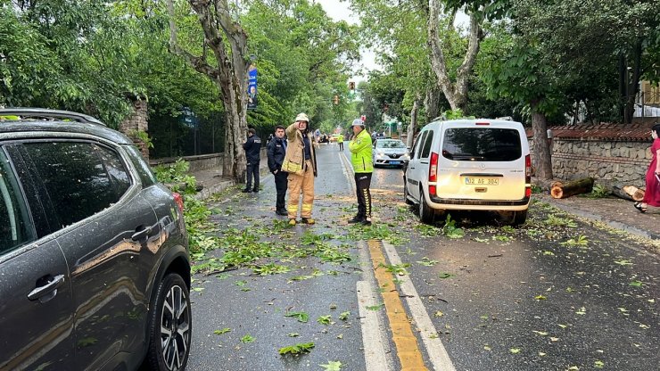 Ağaç seyir halindeki araçların üzerine devrildi
