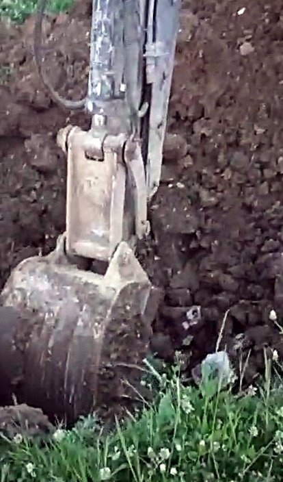 kazılan yerlerden 15 köpek ölüsü çıktı