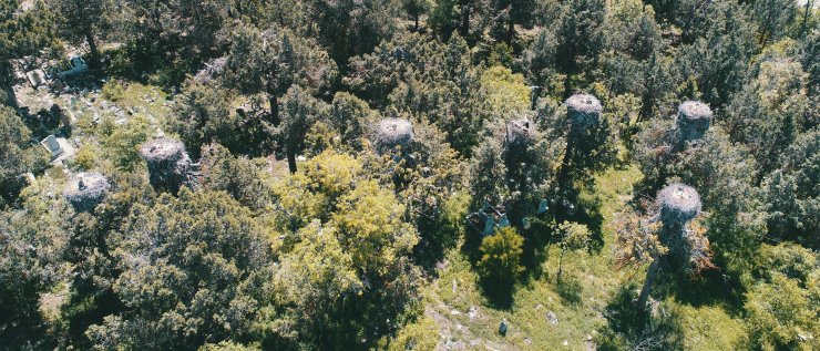 Leylekler Vadisi'nin konukları kuluçkaya yattı