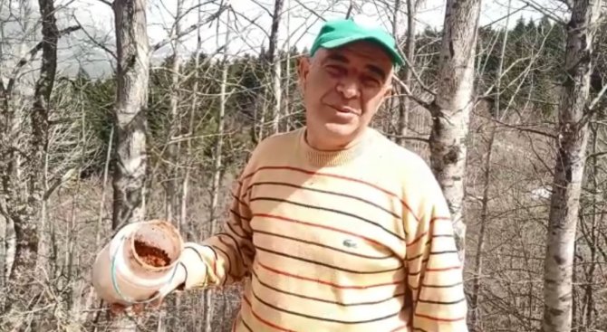 Ormandan topladıkları zararlı böcekler gelir kapıları oldu