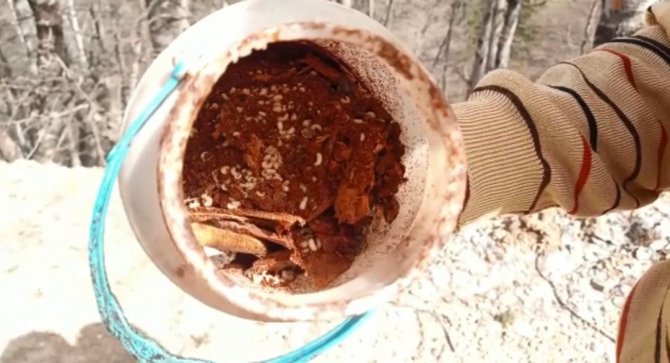 Ormandan topladıkları zararlı böcekler gelir kapıları oldu