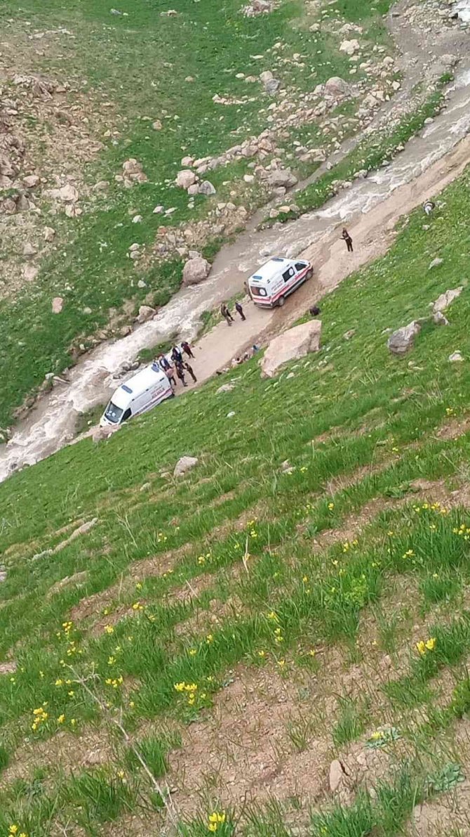 Pancar toplarken düşen kadın hayatını kaybetti