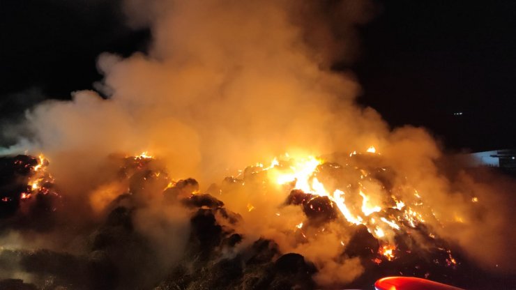 Tesiste çıkan yangında tonlarca saman ve yem kül oldu 