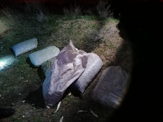 Van polisi, kaçak avlanmış bir ton 320 kilo inci kefali ele geçirdi