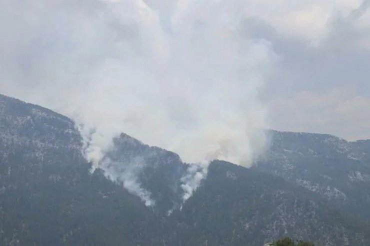 Antalya'da orman yangını