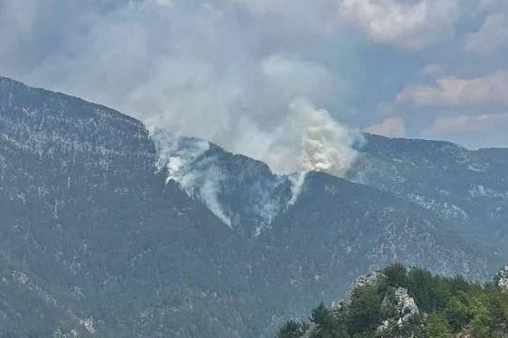 Antalya'da orman yangını