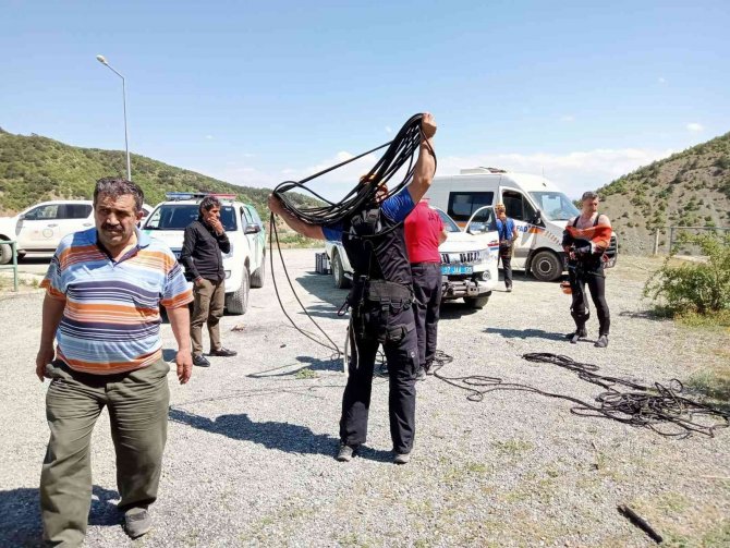 Baraja düşerek mahsur kalan karaca kurtarıldı