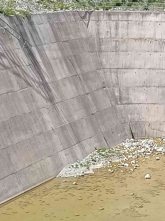 Baraja düşerek mahsur kalan karaca kurtarıldı